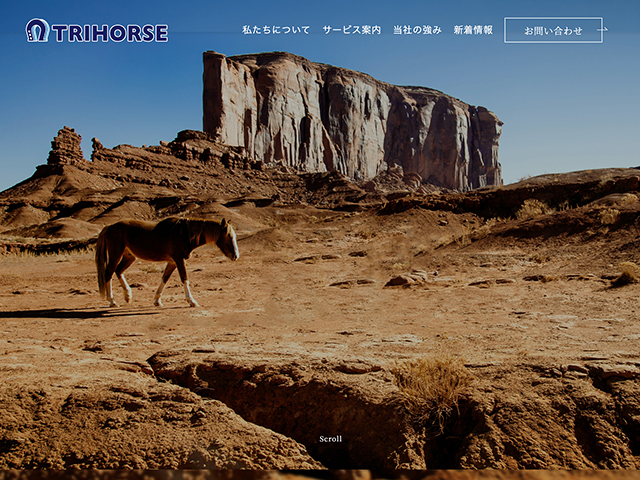 株式会社トライホース