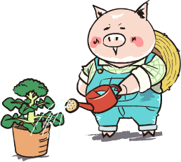 Environmentイメージ